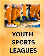 Youth Sports Leagues