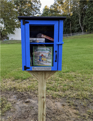 Little Free Library Crown Heights