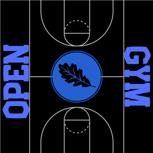 Open Gym
